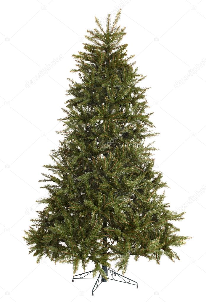 Green christmas fir tree without decoration. — Stock Photo ...