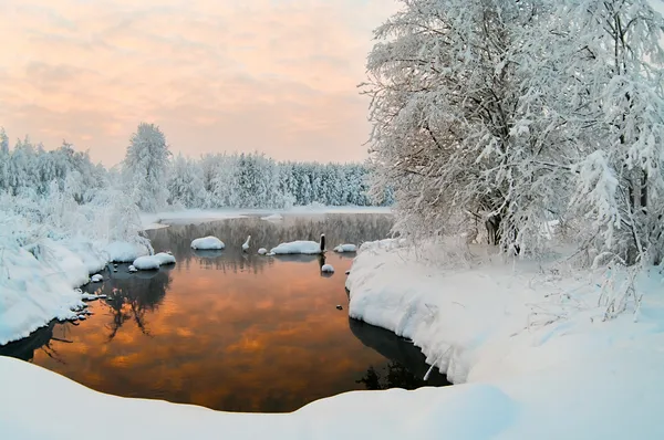 Unfrozen lake in the winter forests