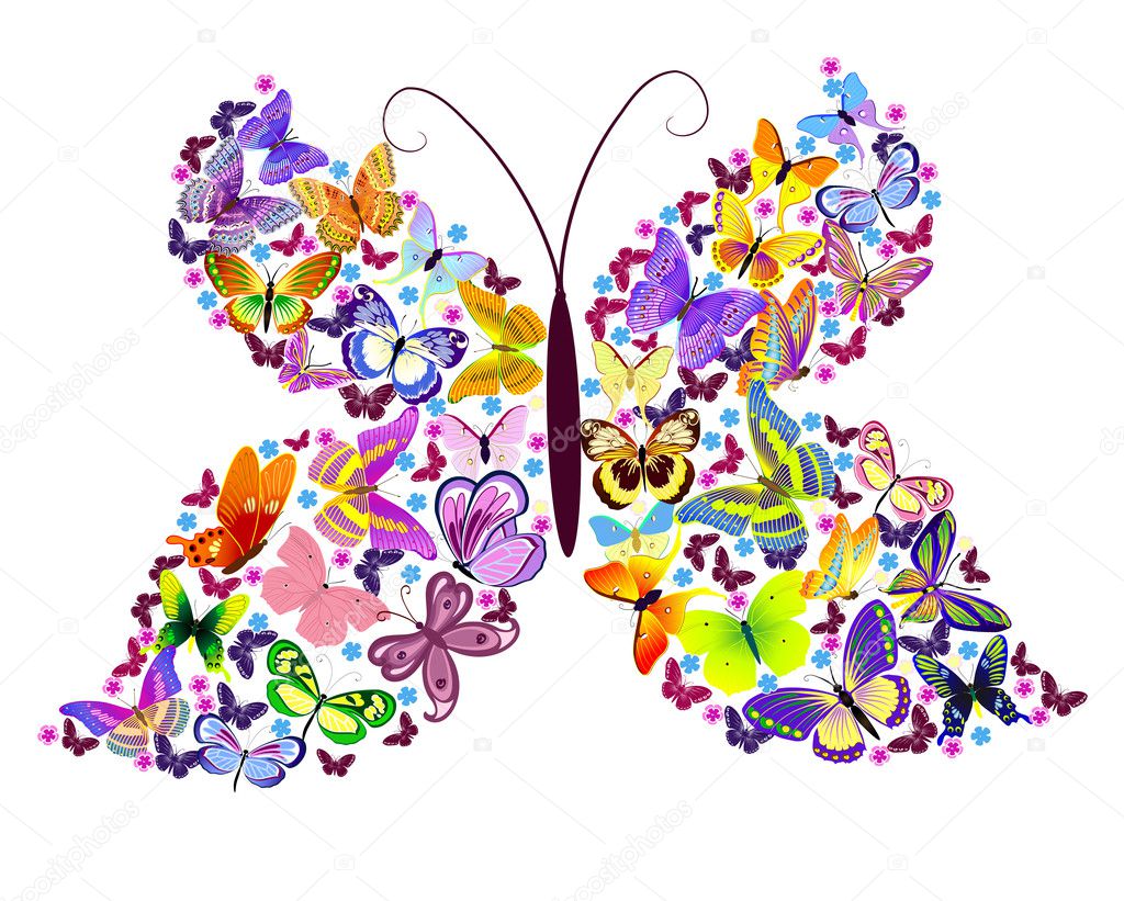 Pic Of Butterflies