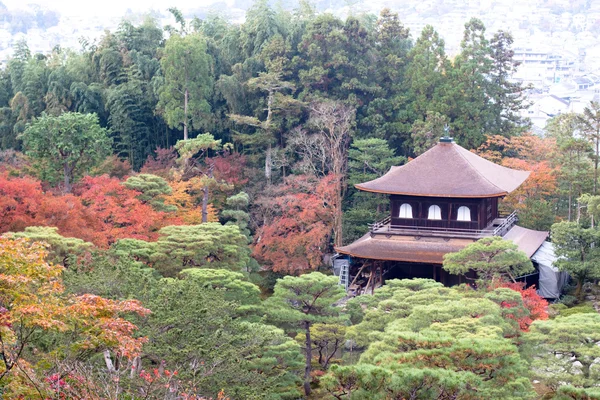 Japanese temple in autumn garden