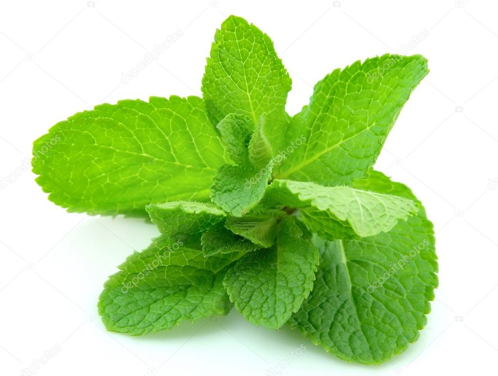 Mint Leaves