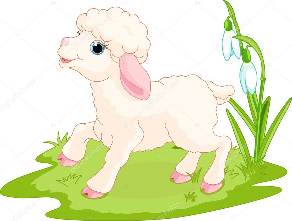 Нарисуйте барашка Нарисуйте барашка