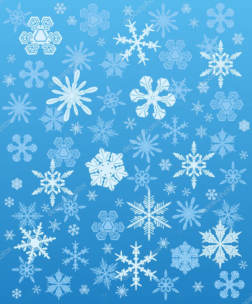 winter vector