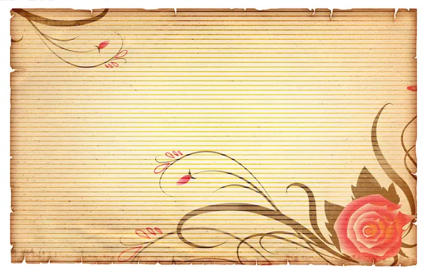 Floral vintagel background.Old paper scroll with pink rose