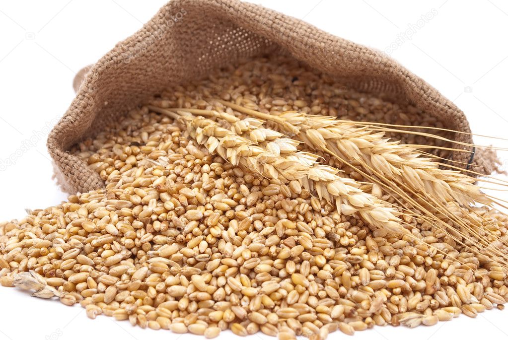 The scattered bag with wheat of a grain — Stock Photo © Alexan66 3992248