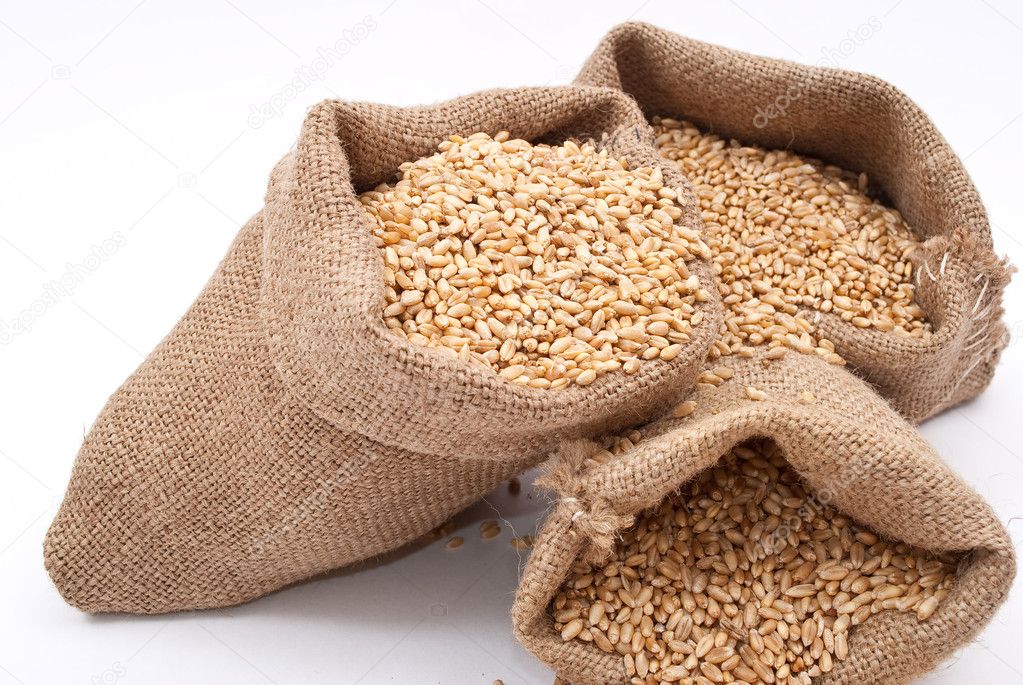 Sacks of wheat grains — Stock Photo © Alexan66 4666905