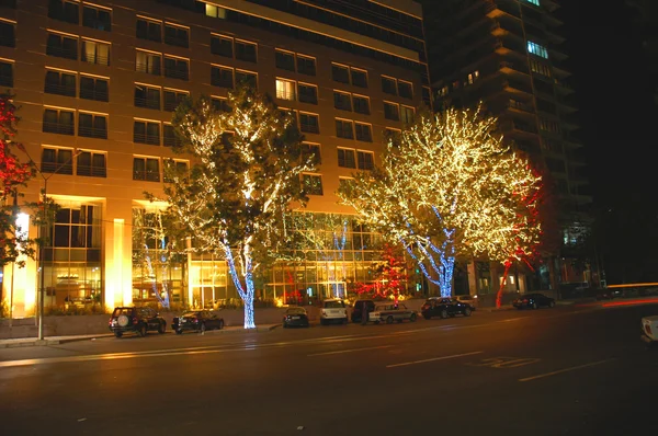 Christmas tree and trees decorated with lights in Baku, Azerbaijan