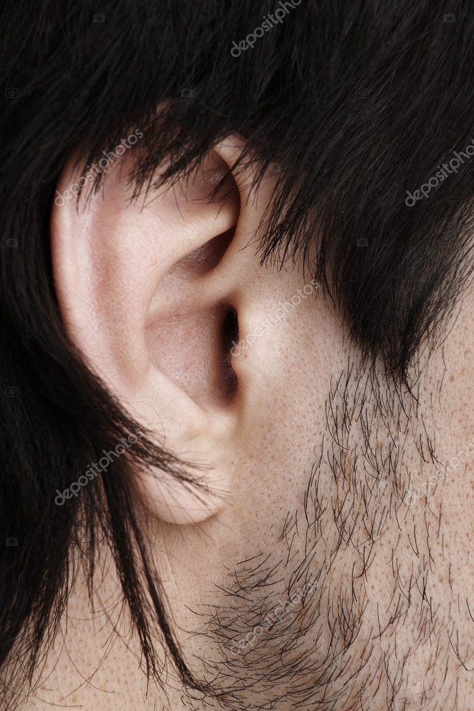 male ear