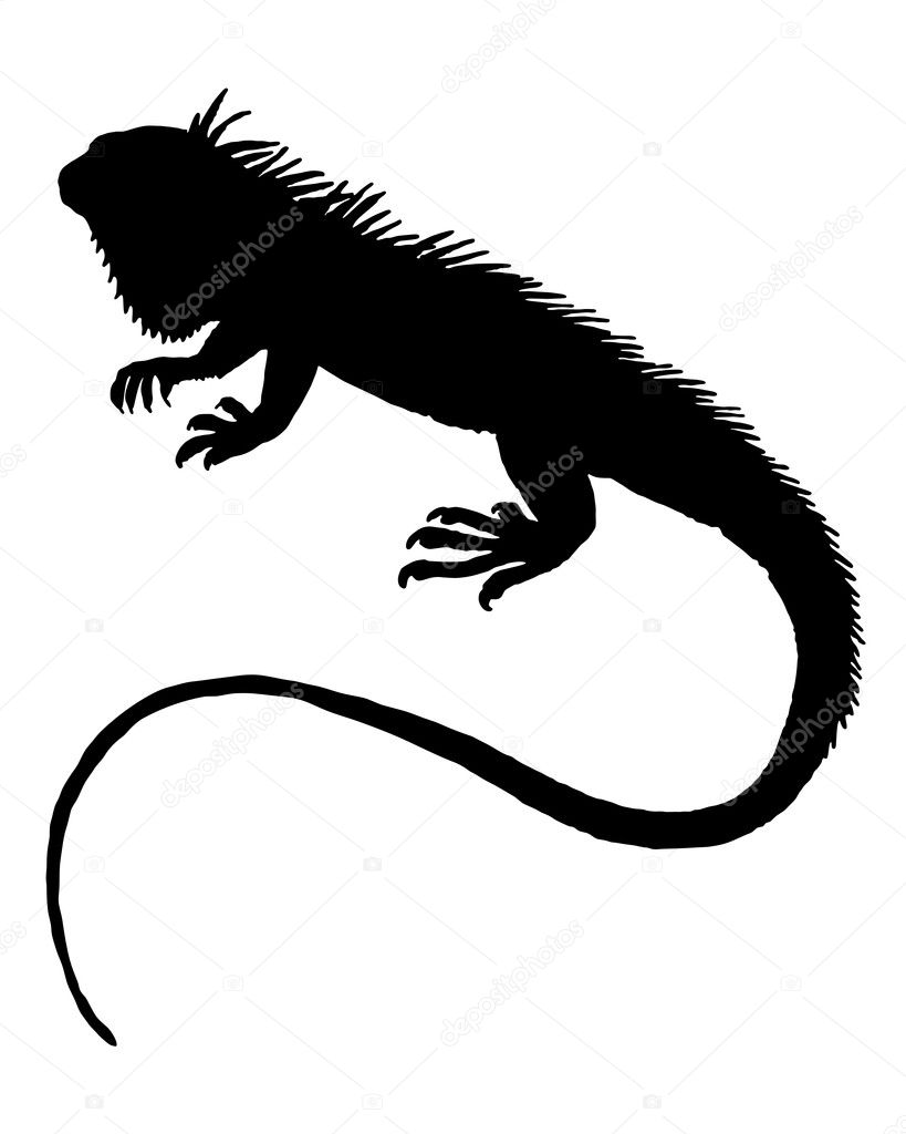 iguana clipart black and white - photo #50