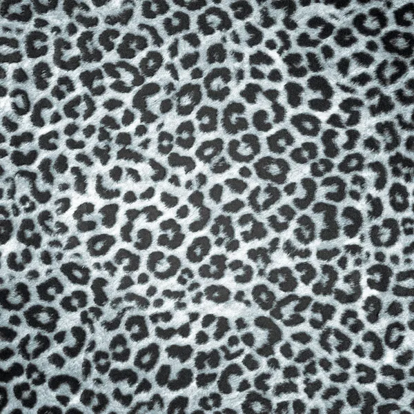 Leopard Background on Bw Leopard Skin Background Or Texture   Stock Photo    Arsenii