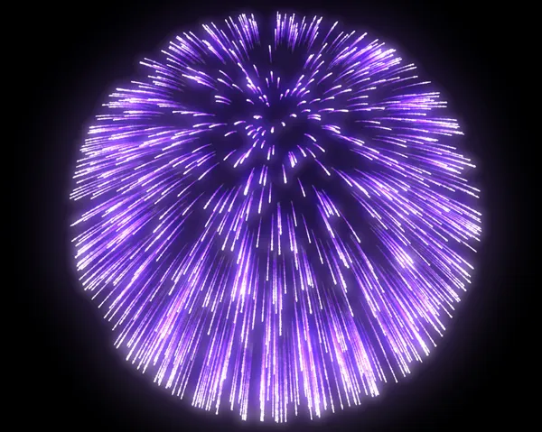 Festive purple fireworks at night