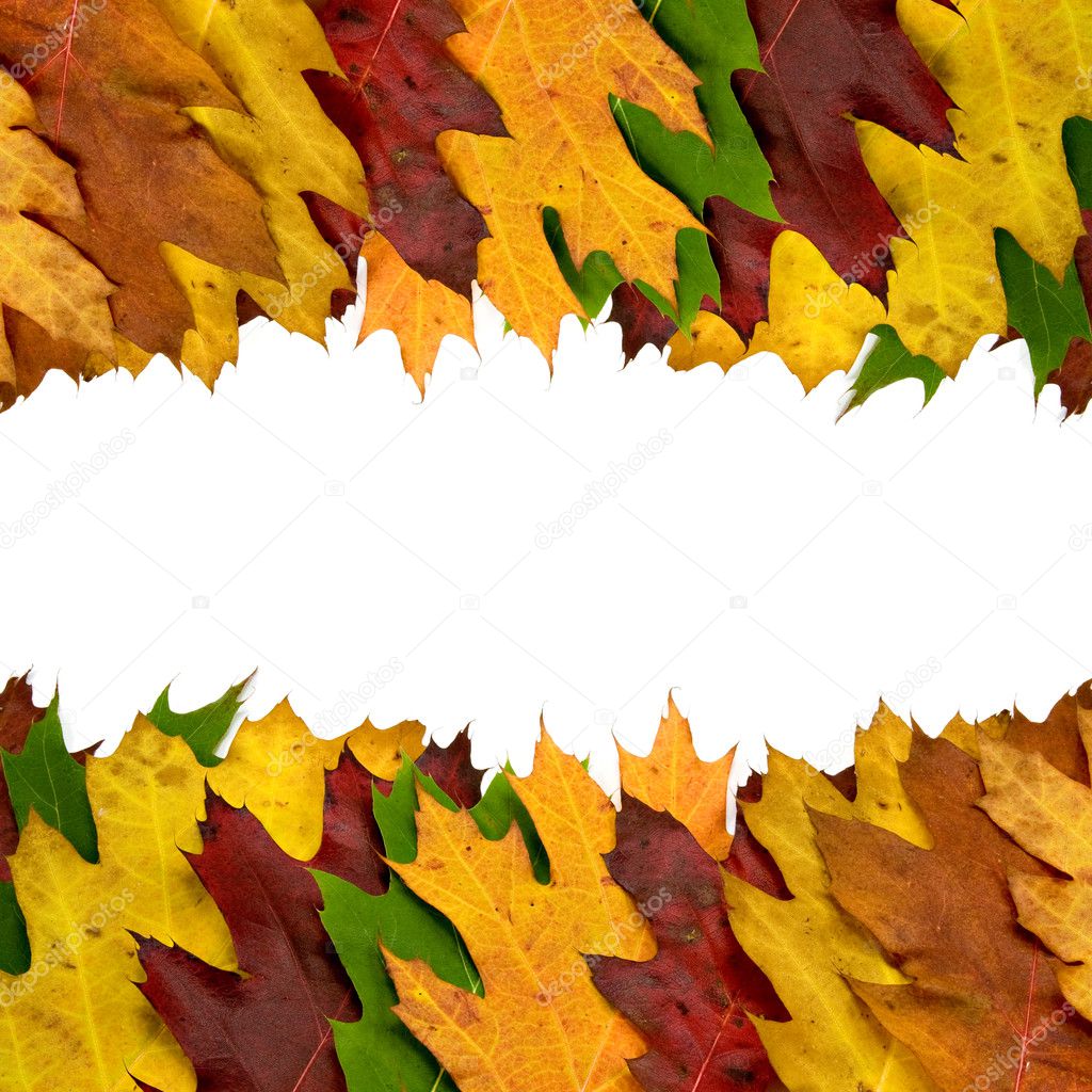 Autumn Leaves Border