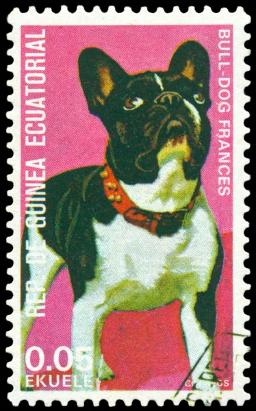 Vintage postage stamp. French Bulldog.