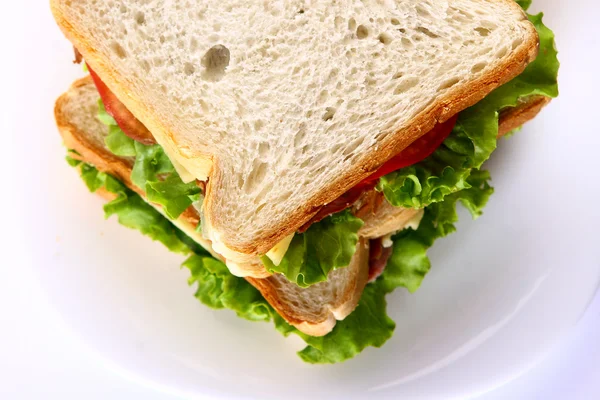 Fresh sandwich on th table