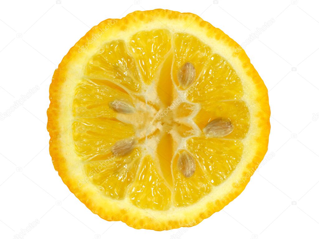 Lemon Slice