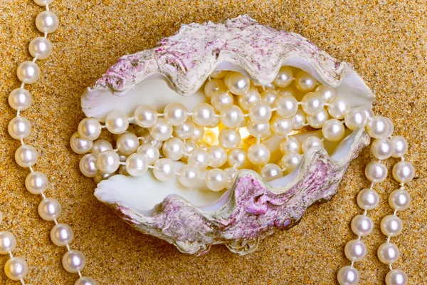 The exotic sea shell with a pearl beads lies on sand