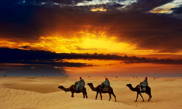 Camel caravan going through desert at sunset