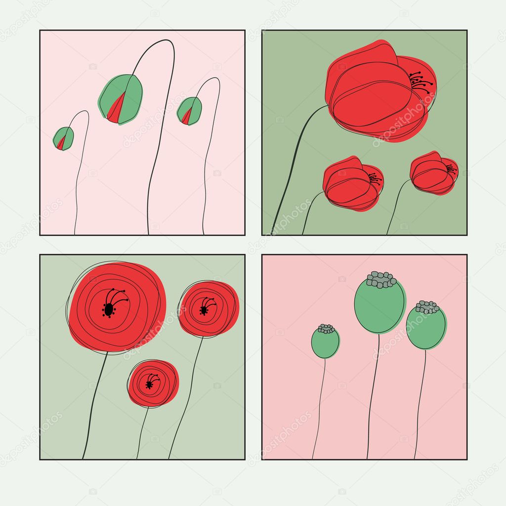 poppies illustration