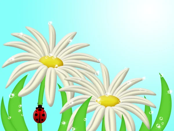 Daisy+flower+with+stem