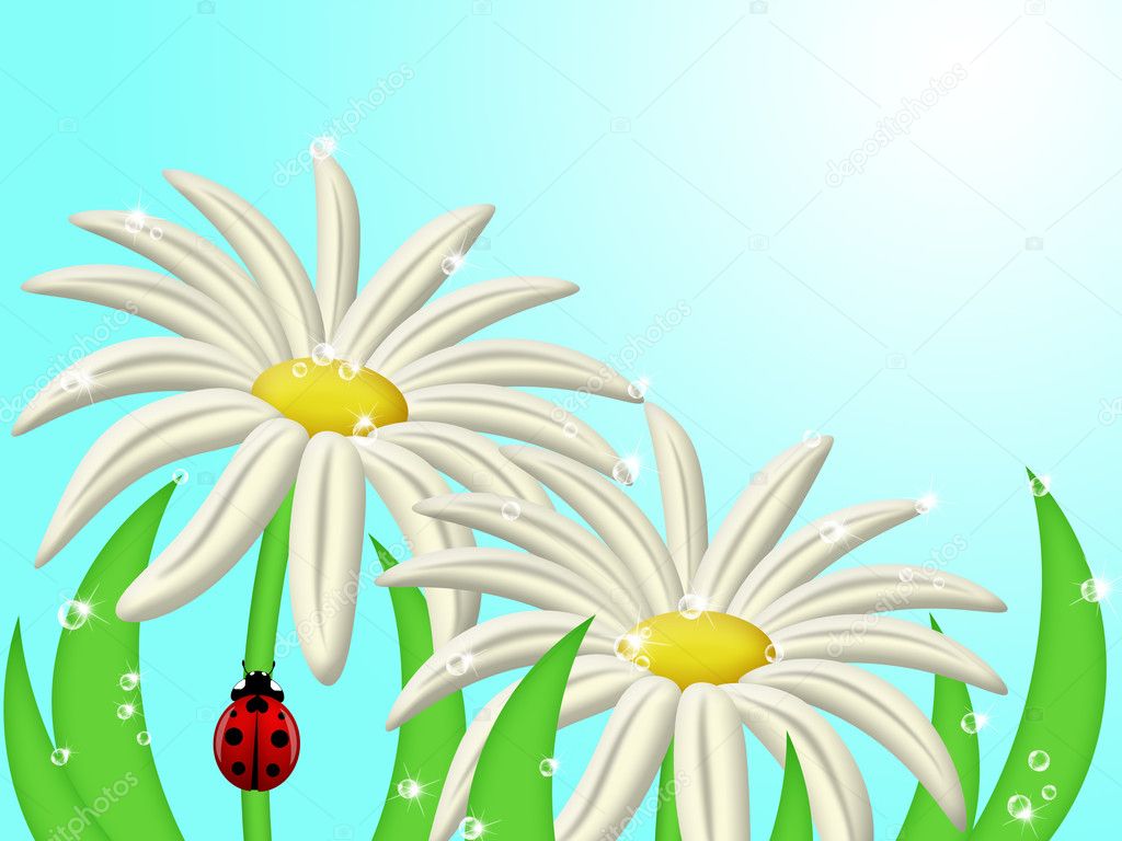 Daisy+flower+with+stem