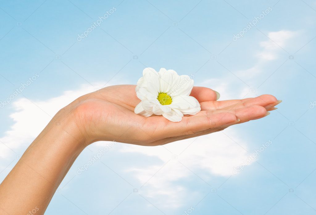 http://static5.depositphotos.com/1004757/460/i/950/depositphotos_4602933-Beautiful-female-hand-with-flower.jpg