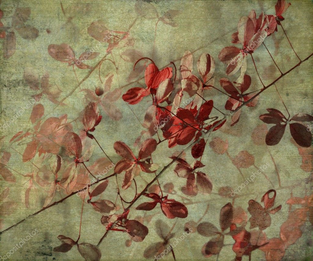 grunge floral background stock image image of history 1641989 grunge antique flower background stock photo 169 luceluceluce 4596417 grunge floral background stock image image of history 1641989 grunge antique flower background stock photo 169 luceluceluce 4596417