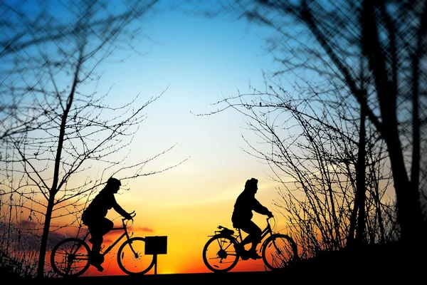 Cycling trip at sunset