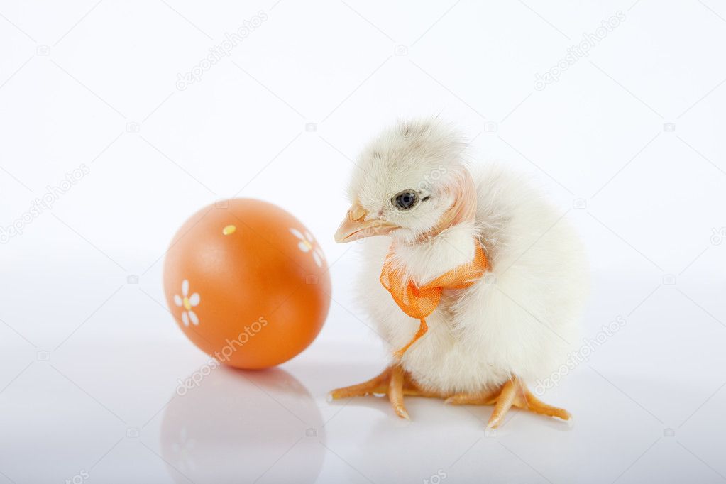 Baby And Chicken