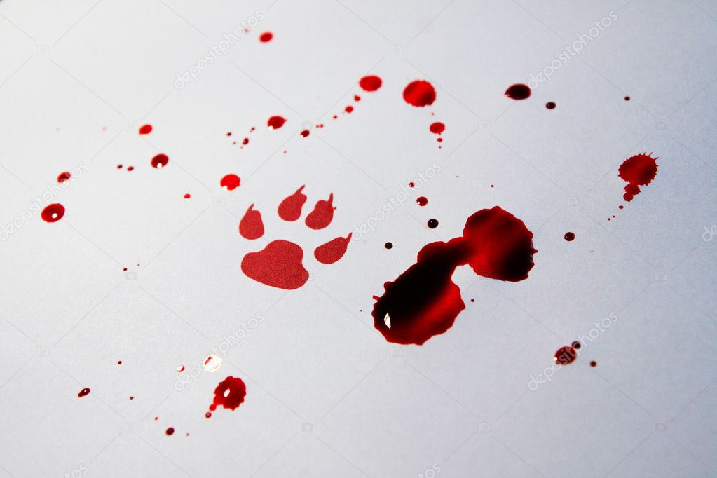 Fake bloody paw trace — Stock Photo 5236283