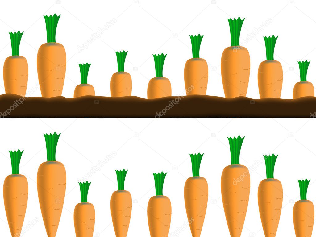 Carrots borders — Stock Vector © Huhli13 4184698