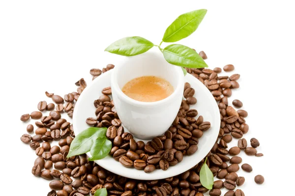 Espresso with green leaves on white background