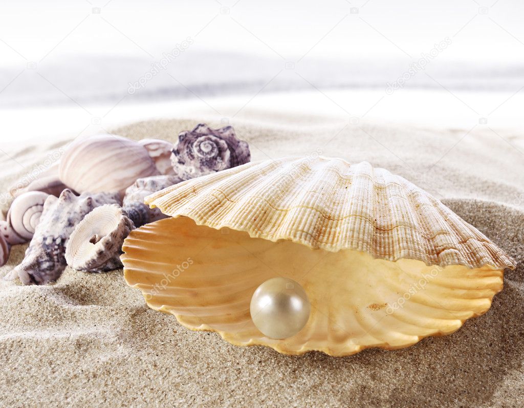pearl with shell