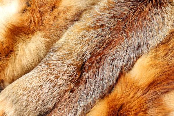 The fox fur