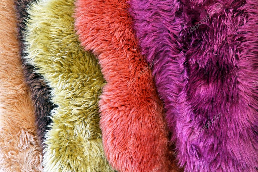 Colorful Fur