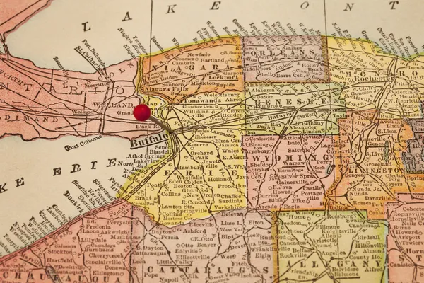 Buffalo on a vintage map
