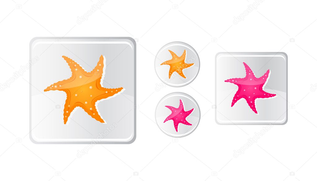 Starfish Icon
