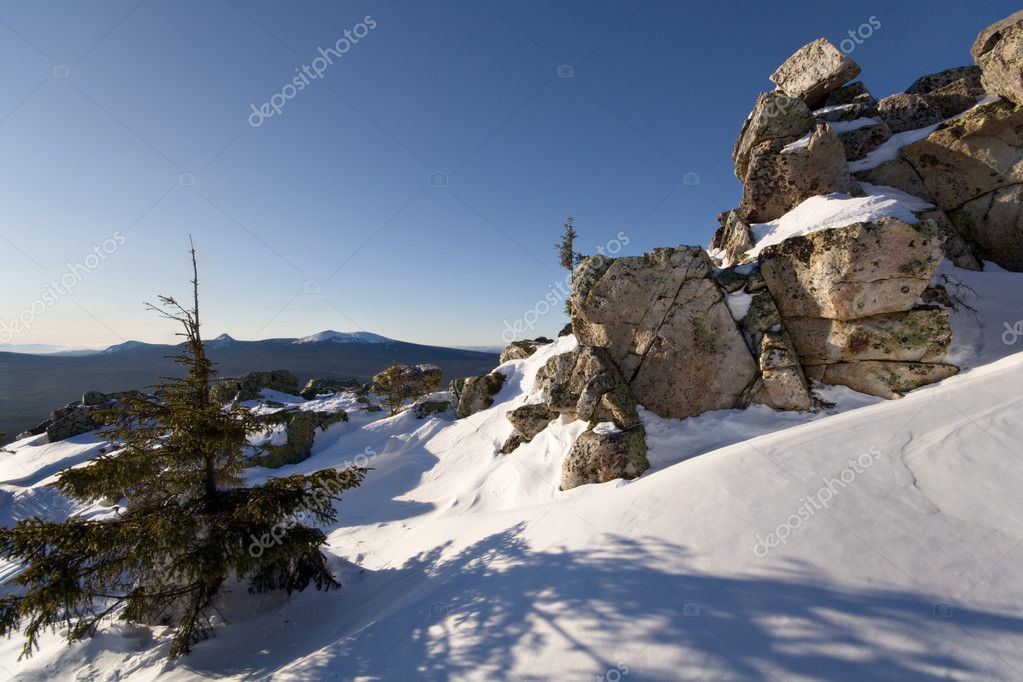 Snowy Taiga