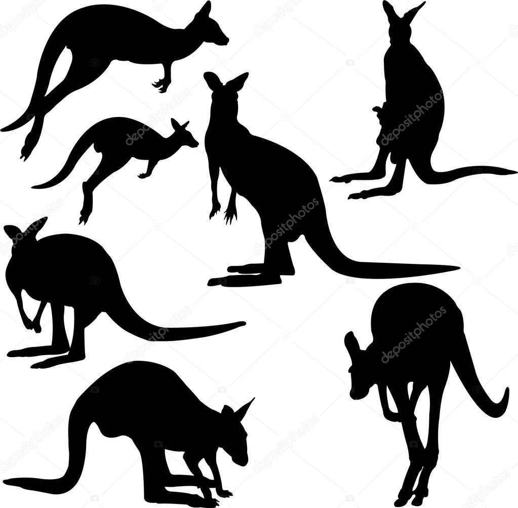 Free Kangaroo Vector