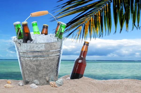 Assorted beer bottles in a bucket of ice in the sand