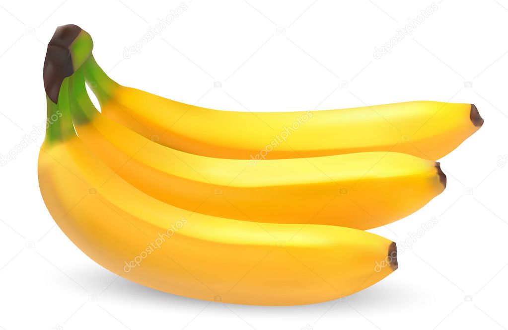 ripe bananas stock vector 169 sergioz 5355742 ripe bananas stock vector 169 sergioz 5355742
