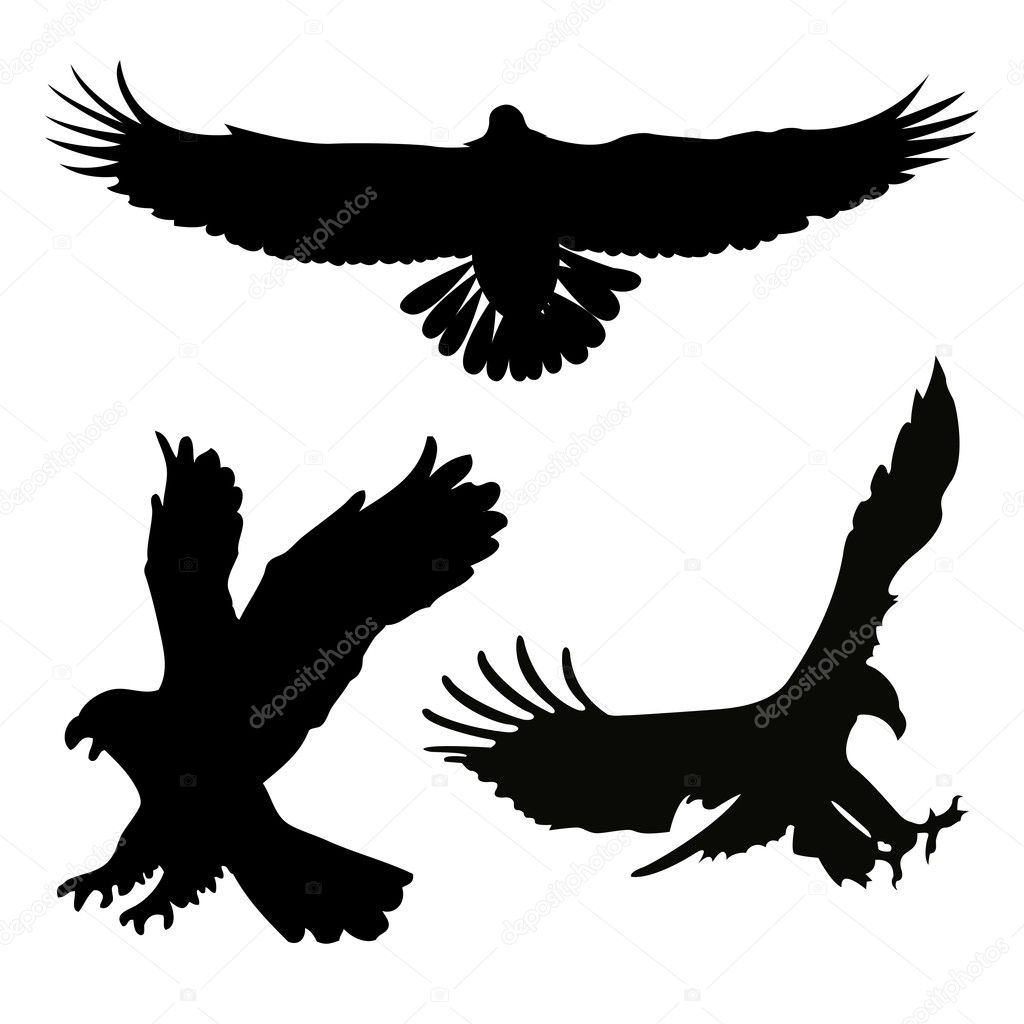 flying bird silhouette