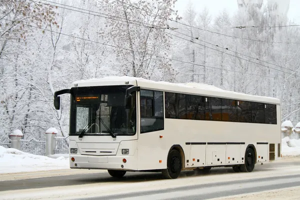 White bus