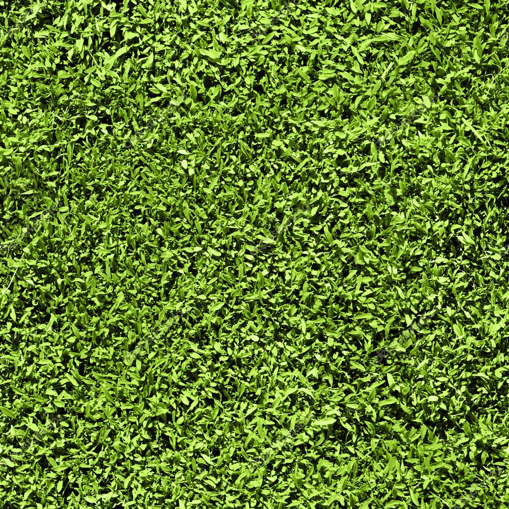 Grass Texture Seamless