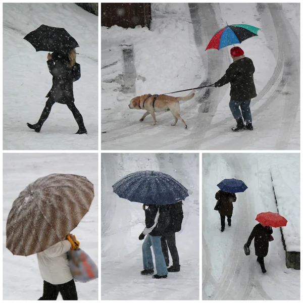 Umbrellas by winter