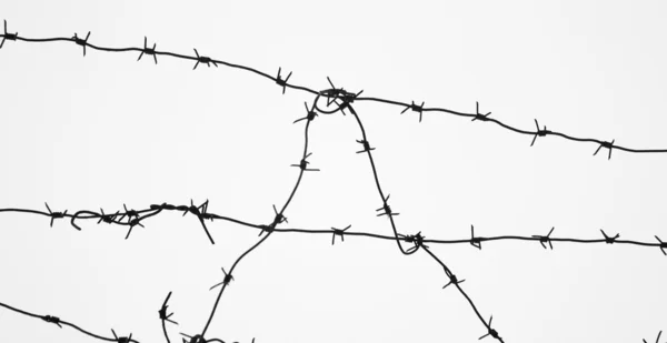Barbed wire over white