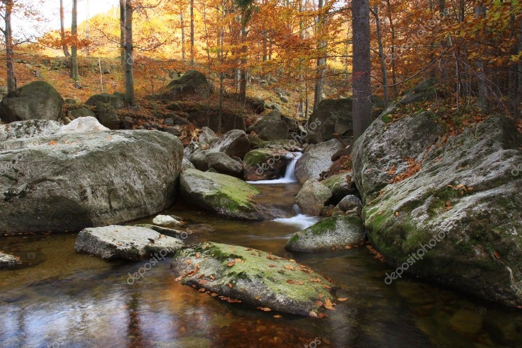 Torrente di montagna in un bosco in autunno — Foto Stock © nobora 4052725