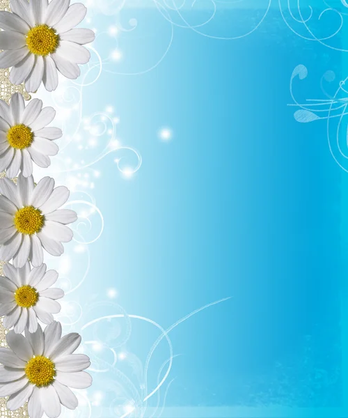 Blue sky with a border of daisies along the bottom