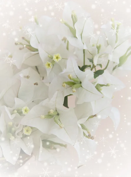 Invitation with bouquet of white flowers(bougainville)