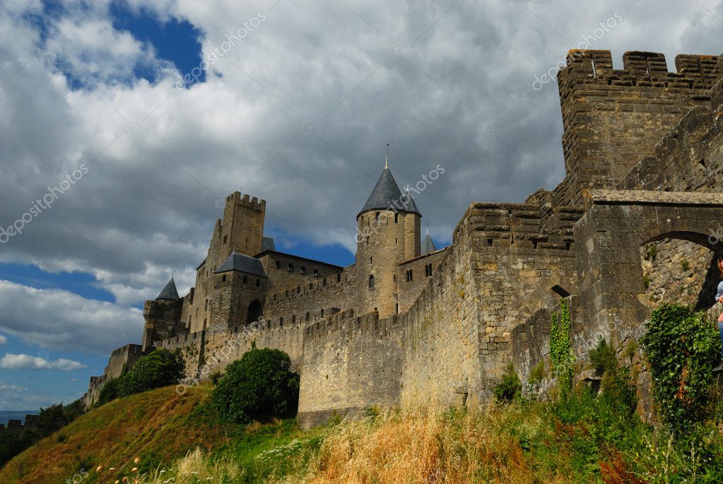 chat carcassonne