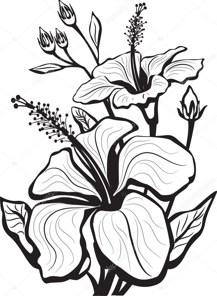 Hawaiian flower tattoos are